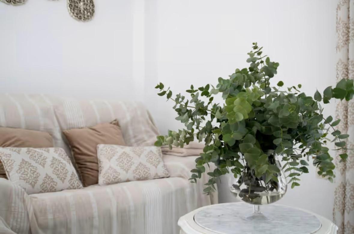 Apartamento Cataleya Ronda Kültér fotó